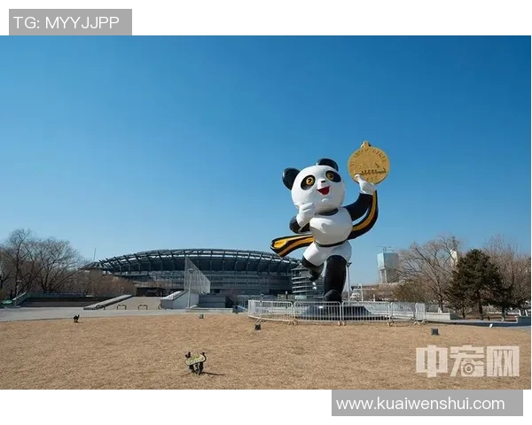 聚焦国家队建设与发展探讨体育实力提升与国际竞争力打造